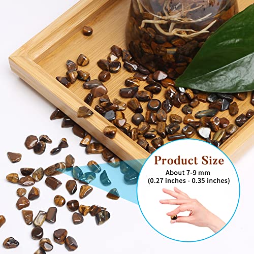 QICQDRAM Polished Gem Stones Rocks Tiger's Eye Crystals Chips Natural 1LB | Small Tumbled Stones Crystal Chips Bulk for Healing Crystals Fish Tank Gravel Vase Filler (405g/14.28oz) - color: Tiger's Eye, size: 1LB