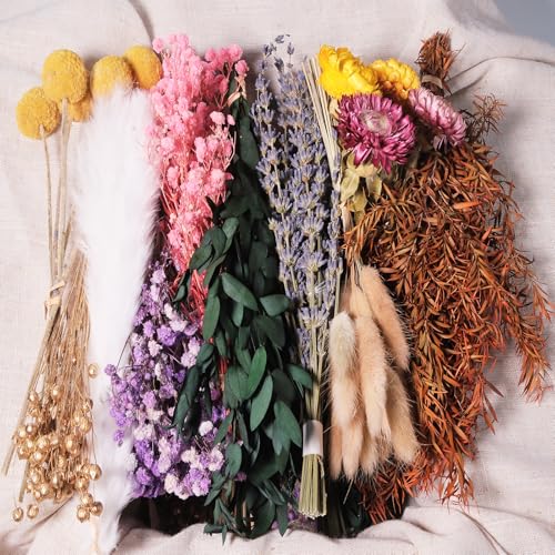 10 Kinds Natural Dried Flower Set, Bulk Dried Flowers for Vase,Mini Dried Flower Bouquets,Dried Flowers with Stems for DIY Crafts, Vase Decor,Home/Wedding/Birthday Decor(7.9-9.84in Flexible Stems) - color: 10 Kinds-boho Warm Series