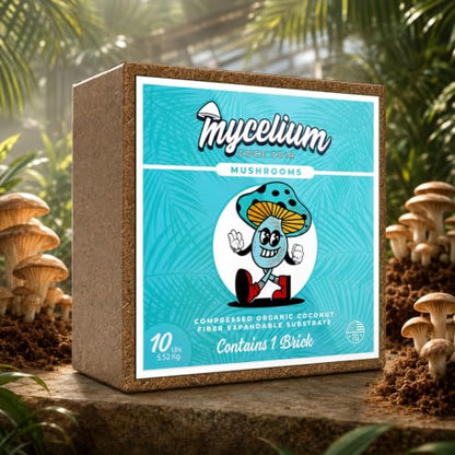 Mycelium Coco Coir Brick Mushroom Growing Kit I Expandable Organic Coconut Fiber Substrate I Indoor Mushroom Cultivation for Starter & Pro Home Growers I OMRI Certified & Non-GMO, 10lbs - style: Mushroom Cultivation