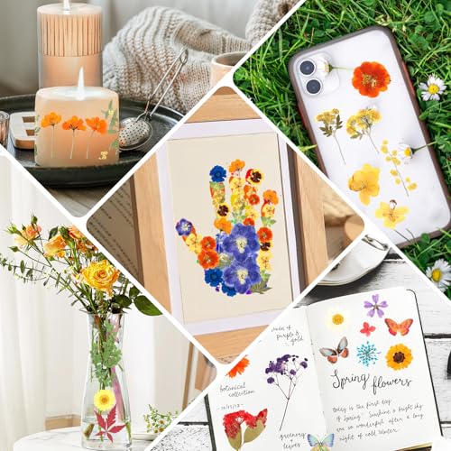 269 PCS Dried Pressed Flowers for Resin Crafts, Bulk Real Nature Pressed Flowers Set Dried Wildflowers Leaves with Butterfly Stickers Tweezers for Jewelry Making DIY Scrapbook Floral Frame Decors - size: 269 Pcs Dried Flowers with Butterfky