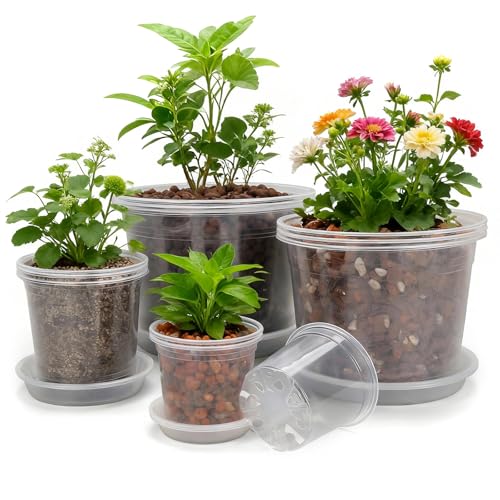 10/8/6/4 Inch Clear Nursery Pots with Drainage Holes and Saucers, 12 Pack Large Clear Pots for Plants Variety Pack, Plastic Nursery Pots for Succulents, Seedings, Herbs, Flowers, Vegetables - size: 4/6/8/10 inch