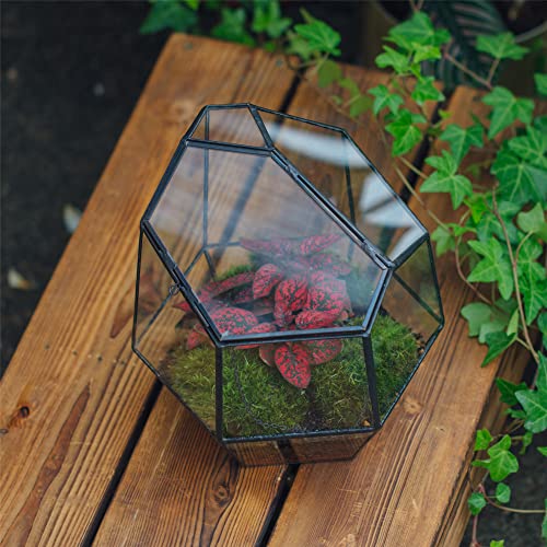 NCYP Handmade 7.5inches Small Close Geometric Terrarium with Door, Black Irregular Glass Planter, Modern Succulent Cacti Flower Pot, Home Garden Decor DIY Gift (Plants and Props NOT Included) - size: 8x7x7.5inches