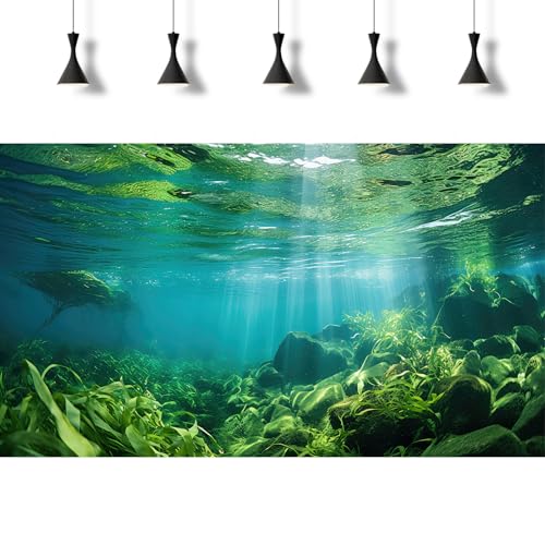 Under The Sea Fish Tank Background Aquatic Plants Deep Sea Aquarium Background Underwater Sunray Rock with Moss Terrarium Backgrounds Deep Ocean Floor Tropical Fish Tank Backgrounds 24x12in - color: Light Green, size: 24(W)x12(H)inches/ 60(W)*30cm(H)