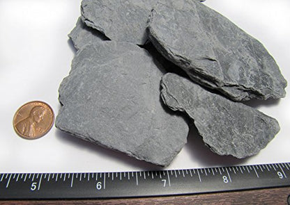 USA Natural Slate 1-3" for Aquariums, Reptiles, Terrariums, Miniatures 2 lb | Hand sorted, tumbled & washed in the US by our family-owned small business. Great in paludariums, mosaics & fairy gardens - style: 2 lbs