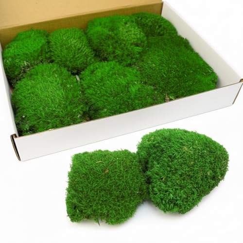 0.6 sq.ft Dark Green Preserved Pillow Moss Cushion Bun Natural for Plants Indoor Crafts Wall Art, DIY, Terrariums, Decorative for Planters - color: Dark Green 0.6 sq.ft