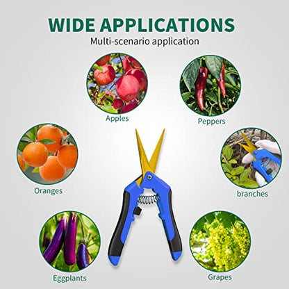 SZHLUX 6.5 Inch Gardening Scissors Hand Pruner Pruning Shears (1, Blue) - color: Blue