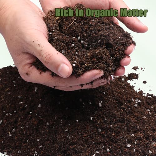 Doter Potting Soil Mix for Fern 4qt, Custom Hand Blended Mixture Suitable for Indoor/Outdoor Potted Fern Plant - size: 4qt