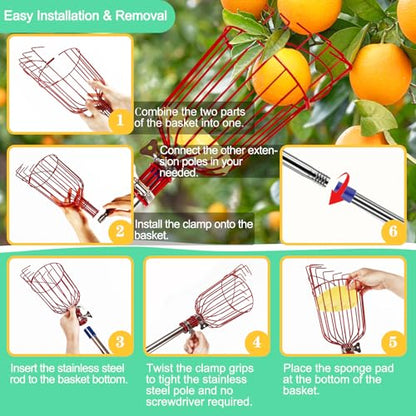 Qiullen 13 FT Extendable Fruit Picker Pole Tool Adjustable Long Handle Fruit Picker Metal Basket Fruit Grabber Tool with Protective Foam Pad Stainless Steel Garden Picker Tool for Apple Mango Lemon