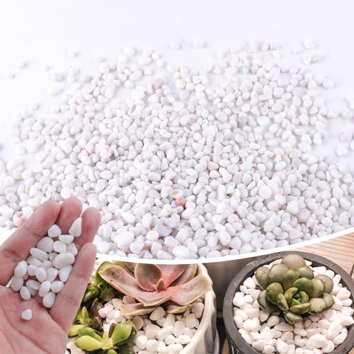 2.4lb 1/4" Small White Rocks for Plants,Potting,Succulents Aquarium Fish Tank Garden Vases Decorative Pebbles Gravel Rocks Stones - color: white, size: 2.4 lb (1/4 in)