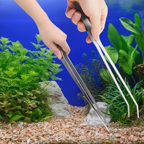 2PCS Long Aquarium Tweezers – 10.6 Inch Straight and Curved Stainless Steel Feeding Tongs for Reptiles, Fish Tanks, and Terrariums