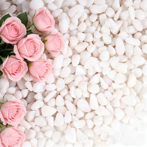 2.2 lbs Succulent Stones, 3/8 inch Tiny Pebbles of Rocks - color: White, size: 3/8 Inch 2.2 LB