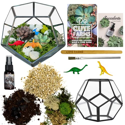Glass Terrarium Kit | Just Add Your Own Plants (Geometric Glass) - style: Geometric Glass