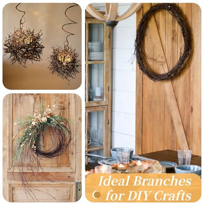 60Pcs Real Dried Birch Twigs Branches 16 Natural Decorative Birch Branches - size: 60
