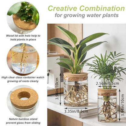 Glass Propagation Stations, 2 Large & 2 Small Desktop Flower Vases