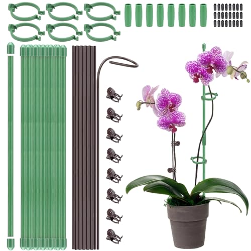 24 Pcs Adjustable Plant Support Stakes Kit for Indoor Plants, 12 Inch Orchid Sticks and Clips Set Bendable Single Stem Support Sticks, Small Plant Stakes for Garden Potted Plants Orchid Rose Peony - color: Green&Brown-24pcs