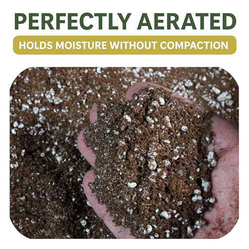 BOG BOSS - Premium Carnivorous Plant Soil Blend | Ideal for Venus Flytraps, Sundews, Nepenthes Pitcher Plants & Butterworts (1 QT) - size: 1 qt