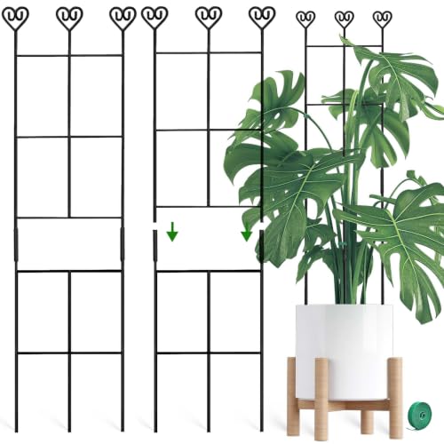 Coomin 32in Monstera Plant Support Trellis for Indoor Plants, 2P - size: 32in/2p