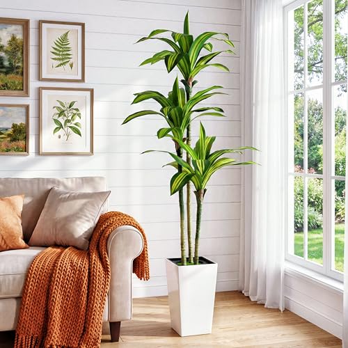 6FT Dracaena Artificial Plants Indoor,with White Tall Planter | Faux Plants Indoor fake tree,Lifelike Leaves,Leaves Are Easy to Style,for Living Rooms, Bedrooms Porch and Offices Décor - color: White-6ft