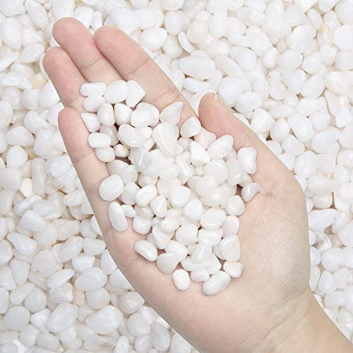 Natural Polished Decorative White Pebbles - Small Stones 3/8" Gravel Size,River Rocks Pebbles for Plants, Home DIY Decor,Aquarium Gravel,Vase Fillers,Fairy Garden,Landscaping Outdoor Stones. - color: white, size: 1 LB