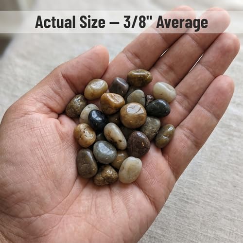Midwest Hearth Decorative Mixed Pebbles for Plants & Terrariums | Polished Natural Stones | 3/8" Size (2-lb Bag) - size: 2-lb Bag
