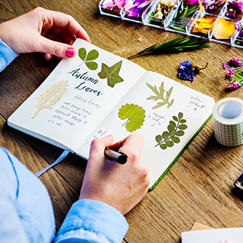 Timtin 84 Pcs Dried Pressed Leaves Flowers for Resin, Vivid - color: Vivid Style