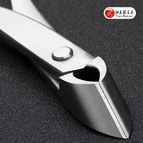 Straight Narrow Edge Cutter Professional Grade Branch Cutter Alloy Steel Bonsai Tools Equip With Tool Bag (MT-SE-185N Designed For Small Size Bonsai Trees)