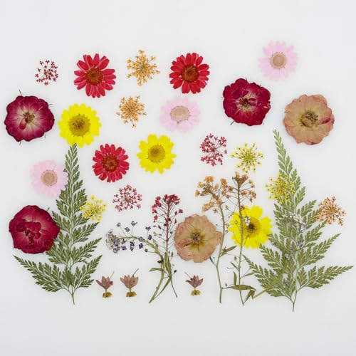 Cayway 40 PCS Dried Pressed Flowers for Resin, Real Pressed Flowers Dry Leaves Kit Natural Dried Pressed Leaves for Art Crafts Resin Scrapbook Supplies Soap Candle DIY, Pink and Red Rose - color: Red-pink-40