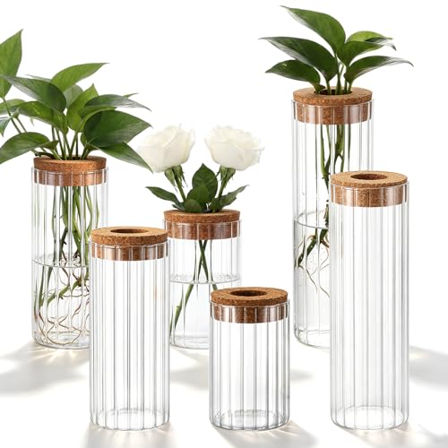 6 Sets Plant Propagation Vases, Glass Plant Propagation Station Desktop Water Planting Vase with Lid 3 Size Glass Flower Vases for Propagating Hydroponic Flowers Centerpiece Office Home