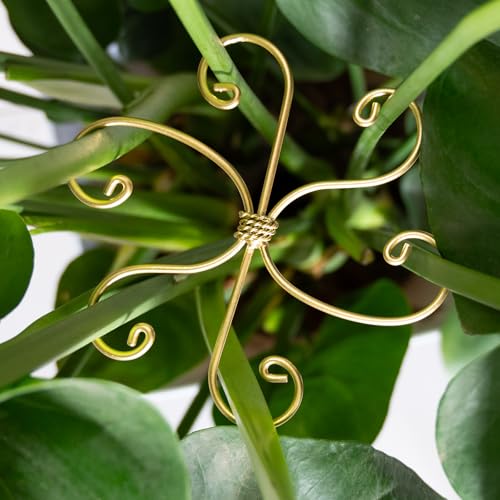 Yohsnor 6.5IN Monstera Plant Support Hook-5PCS Gold Stem Stabilizer - color: Gold, size: 6.5IN*6.5IN