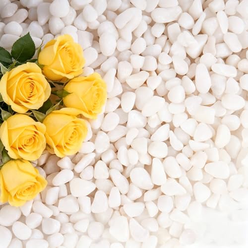 5 lbs White Gravel, 3/8 Inch Small Pebbles for Plants | Decorative Rocks for Potted Plants,Small Rocks for Plants, Vases, Cactus Potted Plants, Fish Tanks - color: White, size: 3/8 Inch 5 LB