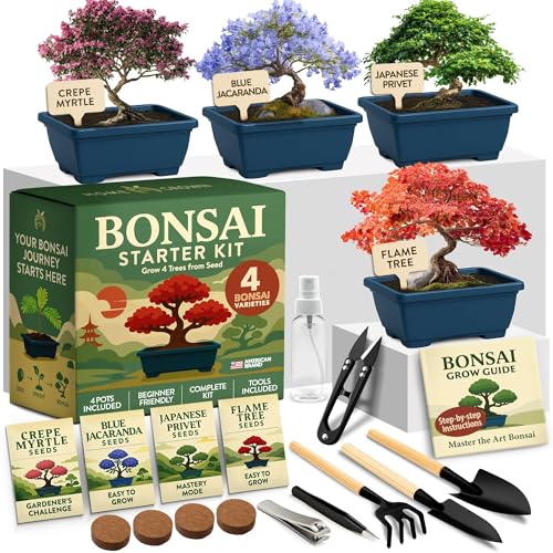 HOME GROWN 4 Bonsai Tree Starter Kit, Christmas Gardening Gift for Adults