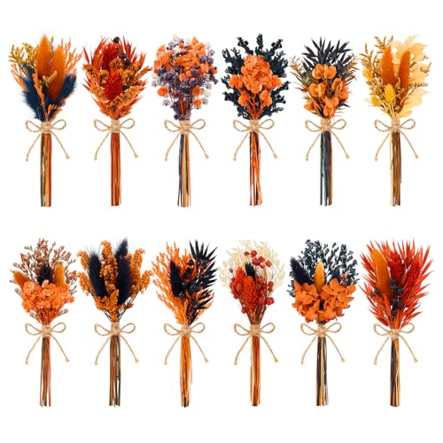 12/24 PCS Charming Dried Flowers Bouquet for Vase Various Dried Wildflowers with Stems Mini Handmade Wildflowers Natural Real Flowers Bulk Flowers Craft (Orange Soul, 12PCS) - color: Orange Soul