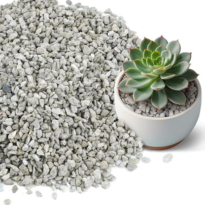 3QT, Horticultural Pumice Stone for Plants - 1/4 Inch Lightweight Volcanic Rocks for Bonsai, Succulents & Cacti, Improves Soil Drainage & Aeration - size: 3QT