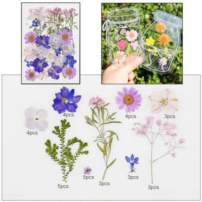 Cayway 170 PCS Real Nature Dried Pressed Flower Leaves, Pressed Flowers for Resin, Real Nature Pressing Floral Leaves for DIY Craft, Candle Scrapbooking Supplies, Purple - color: 170pcs-purple