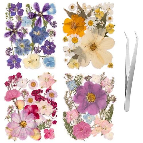 80PCS Spring Large Pressed Flowers Leaves , Real Nature Dry Flowers for Resin Craft, Larage Pressing Floral with Tweezers Set for DIY Jewelry Making Nail Card Scrapbook Art - size: Vintage 80pcs