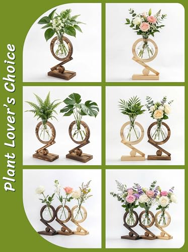Glass Plant Propagation Station with Wooden Stand, Dark Burnt Wood - color: Dark Burnt Wood