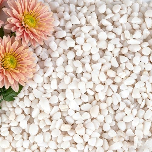 20 lbs White Gravel, 3/8 Inch Small Pebbles for Plants - color: White, size: 3/8 Inch 20 LB