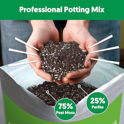 Succulent Cactus Potting Soil Mix (2 qt), All-Purpose Garden Potting Mix for Indoor Outdoor Plants, Quick Drain Houseplant Orchid Bonsai Perlite Soil, Ready-to-Use, Resealable Bag Design - size: 2 qt