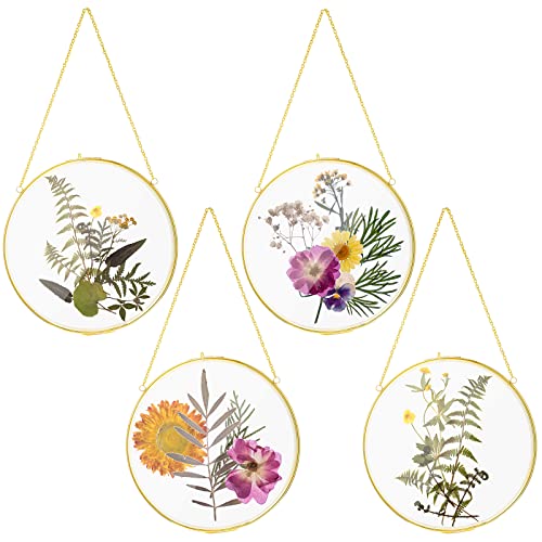 8 Inch 4 Pcs Pressed Flower Frames Double Glass Frame Wall Decor, Gold | Craft Kit for Adults & Women, Round Hanging Wall Decor, Floating Art Project, Clear DIY Vintage Artwork Display Holder - color: Gold, size: 8 Inch