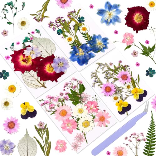 Pressed Dried Flowers for Resin Crafting, Pressed Flowers Natural Preserved Petals & Leaves for Art, Candles, Scrapbooking, Nail Art, Floral Decor - color: White