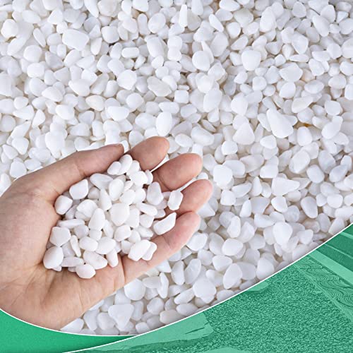Succulent Rocks for Plants Tiny Pebbles for Planters 2.8LB Pea Gravel Bulk Course Sand Soil Small Decorative Stones for Indoor Bonsai Pots Cactus Top Dressing Aquarium Garden Landscape, White - color: White, size: 2.8LB