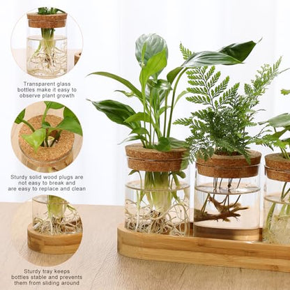 Plant Propagation Stations,3 Pcs Glass Vases with Wooden Stand &Lid - size: 8.7"L x 3.5"W x 4.7"H