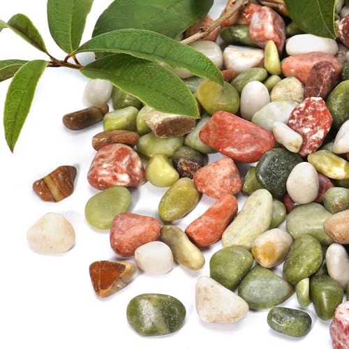10lb Pebbles for Indoor Plants, 1/2 Inch Colorful Decorative Rocks - color: Colorful, size: 1/2 Inch 10 Lb