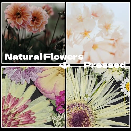 White Dried Pressed Flowers, 40Pcs Real Nature Flowers Set with Tweezers | Pressed Flowers for Resin DIY Jewelry Candle Soap Vase Making Nail Card Scrapbook Art Craft Floral Decor - size: 40 pcs White+Mixed Dried Flowers