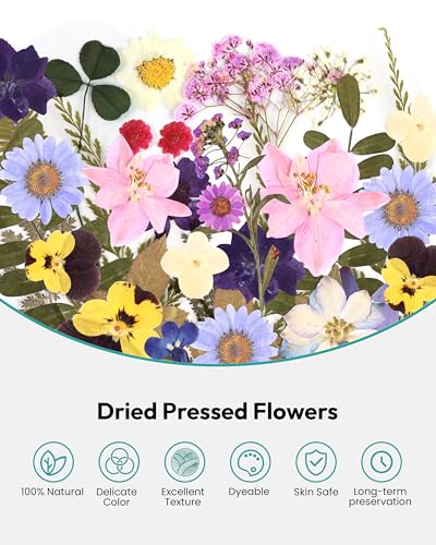 Dried Flowers, Resiners 58Pcs Pressed Flowers for Craft Purple Real Natural Dried Flowers Dry Leaves Kit for DIY Making Crafts Resin Soap Candle Scrapbook Supplies Card Making Jewelry - color: Violet 58pcs