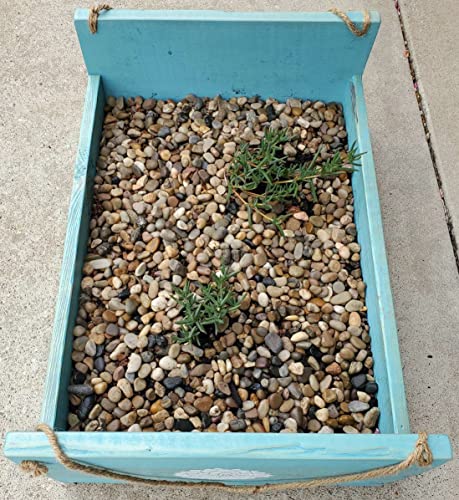 Voulosimi 10 LBS River Rock Stones, Natural Decorative Polished Mixed Pebbles Gravel,Outdoor Decorative Stones for Plant Aquariums, Landscaping, Vase Fillers - size: 10 LB