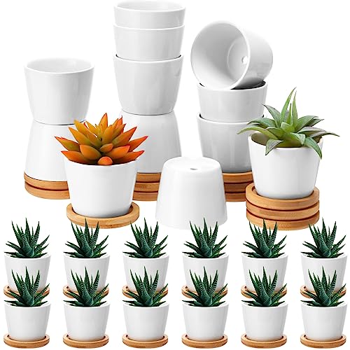 Hsei 24 Pack 2.5 Inch Mini Ceramic Succulent Pots with Bamboo Trays, White - color: White