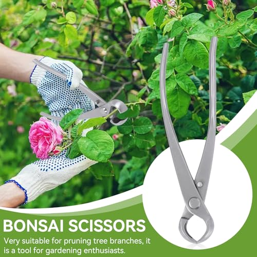 Bonsai Tools Concave Cutter Knob Cutter 180 mm BonsaiCutters Branch Cutter Bonsai Scissor Tree Clippers Pruning BonsaiTrimmer Gardening Tools