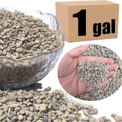Organic Pumice for Bonsai and Horticultural 100% Natural- (1 gallons, 1/4 inch) - color: 1 gallons, size: 1/4 inch
