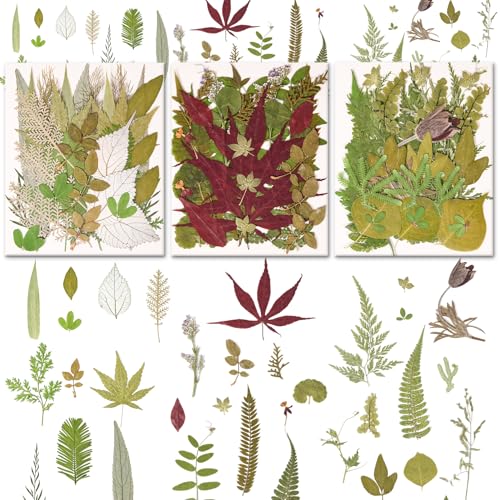 100 PCS Real Pressed Dried Leaves with Tweezers | Natural Dried Flowers, For Resin, Candle, Jewelry, Scrapbooking & DIY Crafts, Leaves 100 - color: Leaves 100